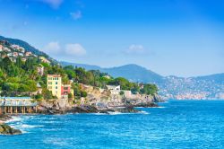Il villaggio di pescatori di Bogliasco, Liguria. Questo grazioso Comune si trova a pochi chilometri da Genova in direzione della Riviera Ligure di Levante. Si affaccia sul Mar Tirreno ed è ...
