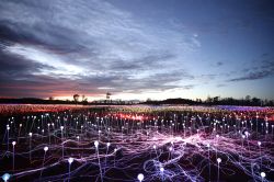 Installazione di luci a Ayers Rock: circa 50.000 steli di fibre ottiche installate intorno al monlite di Uluro per crica un anno, fino al 31 marzo 2017. Siamo in  Australia nel Northern ...