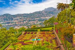 Jardim Botanico, meraviglioso orto di Funchal, Madeira (Portogallo) - Il giardino botanico di Funchal dista a pochi minuti dal centro storico della città (circa 7 a piedi) e regala uno ...