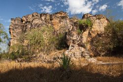 La Bardedjilidji walk nella regione di Jabiru region, Parco nazionale Kakadu in Australia