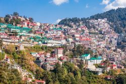 La cittadina di Shimla vista dall'alto, Himachal Pradesh, India. Questa località prende il nome dalla dea Shyamala Devi, incarnazione della dea hindu Kali.



