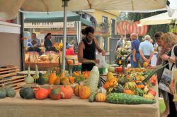 La festa della Zucca, si svolge in settembre a Piovezzano di Pastrengo, in Veneto - © www.prolocopastrengo.it/