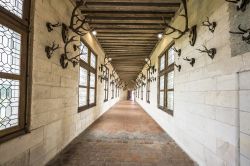 Il Museo della Caccia, nel secondo piano del palazzo, ospita la galleria con i trofei di caccia al Castello di Chambord (Loir-et-Cher, Francia) - © Yuri Turkov / Shutterstock.com