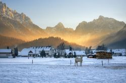 La luce del tardo pomeriggio nel villaggio di Kranjska Gora in inverno (Slovenia). Siamo nell'alta valle della Sava all'estremo nordovest della Slovenia, al confine con Italia e Austria.
 ...