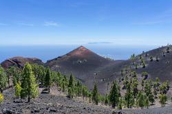 L'isola di La Palma si presta particolarmente alle camminate e al trekking sui vulcani. In questa immagine, oltre al paesaggio lavico del vulcano San Martin, si può vedere in lontananza ...