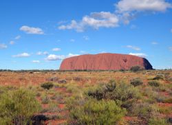 L'inconfondibile sagoma di Ayers Rock emerge dal bush dell'outback - E' forse il "monumento" più famoso d'Australia! Secondo gli aborigeni questa montagna è ...