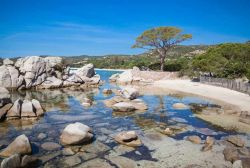 La spiaggia della Palombaggia sicuramente una delle piu belle della Corsica, con le sue rocce granitiche levigate - © Hartmut Albert / Shutterstock.com