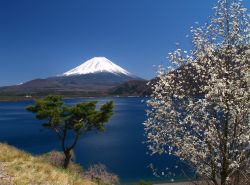 A nord del monte Fuji troviamo il Lago Kawaguchi-ko, uno dei cinque laghi della prefettura di Yamanashi in Giappone - © kuma / Shutterstock.com