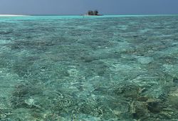 La laguna di Asdu, il mare cristallino dell'isola che si trova nell'atollo di Malé Nord alle Maldive.
