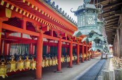 Lanterne al Kasuga Taisha di Nara, Giappone: l'interno di questo santuario shintoista è famoso per la presenza di centinaia di lanterne in bronzo e in pietra. 


