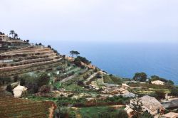 Le colline terrazzate di Banyalbufar a Maiorca, Baleari, Spagna. Questa cittadina, il cui nome dovrebbe significare "fondata vicino al mare", è celebre per le sue terrazze coltivate.
 ...