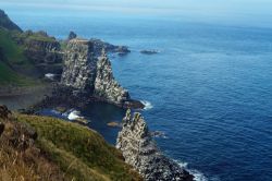 L'isola di Rathlin, Irlanda del Nord. Questo territorio rappresenta il punto più settentrionale dell'Irlanda del Nord: si tratta di una delle 43 aree speciali di conservazione ...