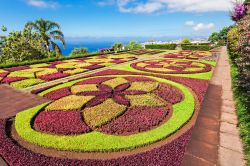 Madeira: il Giardino Botanico di Funchal fu creato nel 1881, ma è dal 1960 che si trova nel luogo attuale - foto © saiko3p / Shutterstock.com