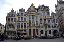 Maison des Brasseurs, Bruxelles: sulla Grand-Place, è sede del Museo della Birra nonché l'antica sede della Corporazione dei Birrai.