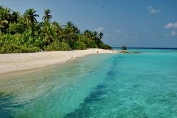 Il mare turchese di Asdu, una piccola isola dell'atollo di Malé Nord, Maldive.