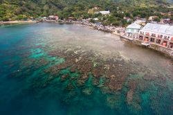 Veduta della barriera corallina a Roatan, Honduras - A pochi metri dalla costa, attorno all'isola honduregna di Roatan si possono ammirare fondali fra i più belli e ricchi del Mar ...