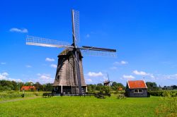Mulino a vento nelle campagne di Alkmaar in Olanda - Così come la tradizione della città è rimasta fedele nei costumi, negli usi e nelle manifestazioni, anche la parte più ...