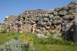 Le rovine megalitiche di Ggantija, dintorni di Xaghra, isola di Gozo (Malta)- © Pack-Shot