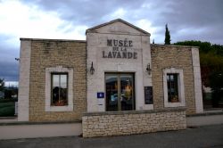 Il Museo della Lavanda di Coustellet, tra Cavaillon e Gordes, nel Parc regionale del Luberon (Provenza, Francia).