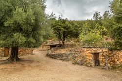 Il paesaggio rurale  della Valle del Fango vicino a Galeria, Corsica