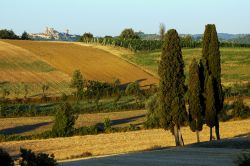 Il dolce paesaggio della Valdichiana e il borgo di Lucignano sullo sfondo Toscana - © Roberto Cerruti / Shutterstock.com