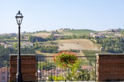 Il dolce panorama delle Langhe, fotografate da Dogliani Cuneo - © Steve Sidepiece / Shutterstock.com