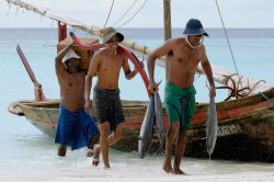 Pescatori Maldiviani al ritorno di una battuta di pesca