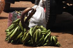 Platani (o banane verdi) lungo una strada di Yaoundé, Camerun. Queste banane da cottura sono ricche di amido.

