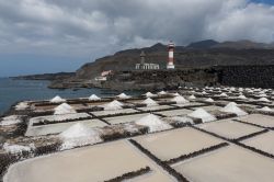 Piscine di roccia vulcanica usate come saline presso Fuencaliente sull'isola di La Palma, Canarie, Spagna.
