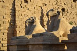 Due sfingi con le teste d'ariete all'ingresso del complesso templare di Karnak (Luxor, Egitto).
