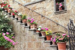 Decorazioni floreali in una casa di Civita di ...