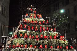 L'abero di Natale che canta a Zurigo: si trova in Werdmhleplatz ed è conosciuto nel mondo come il Singing Christmas Tree
