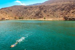 Snorkeling in Oman: il mare trasparente di Musandam ...
