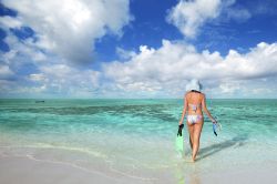 Snorkeling a Roatan, Honduras - Le acque limpide del Mar dei Caraibi dove si trova l'isola di Roatan, scelta per ospitare il reality show "L'isola dei Famosi". E' un vero ...
