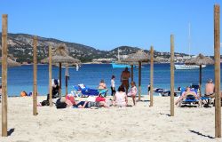 Spiaggia attrezzata a Magaluf, Spagna © tviolet ...