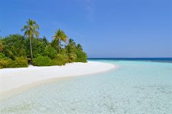 Una spiaggia incontaminata con sabbia bianca e lambita da acqua cristallina su un'isola delle Maldive, nell'Oceano Indiano - foto © Niradj / Shutterstock.com
