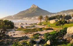 Spiaggia di Cape Town e Lion's Head, Città del Capo, Sudafrica - A differenza dei "classici" litorali dove si parla sempre di spiaggia bianca e mare cristallino, qui vi ...