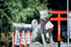 Statua di Kitsune in un tempio di Inuyama, Giappone. Secondo la mitologia giapponese, la volpe è un essere dotato di grande intelligenza e in grado di sviluppare con l'età ...