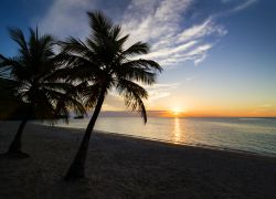 Tramonto sull'isola di Roatan, Honduras - Un suggestivo tramonto su quest'angolo di Honduras, un mosaico di palme in un mare color giada © Michal Zak / Shutterstock.com
