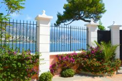 Un giardino a Beaulieu sur Mer, Costa Azzurra,  Coeur Riviera