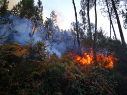 Un incendio sulle montagne di Viseu, Portogallo.

