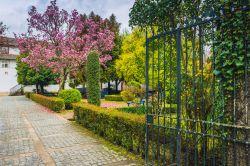 Un pittoresco angolo verde nella cittadina di Viseu, Portogallo. Questa località di antiche origini sorge in una zona agricola sul fiume Paiva.



