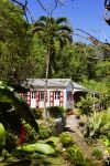 Una graziosa casetta nella foresta di Saba, Antille Olandesi.



