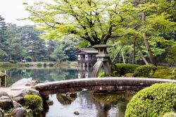 Una pittoresca veduta del giardino Kenrokuen nella città di Kanazawa, Giappone. Ospita all'incirca 8750 alberi e 183 specie di piante.
