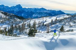 Uno sciatore sulla neve fresca a Nassfeld, Carinzia, Austria. Fra i top 10 dei comprensori sciistici dell'Asutria, Nassfeld affascina per la varietà delle piste e per il panorama ...