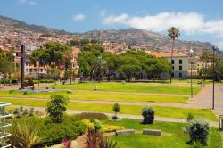 Uno spazio verde della città di Funchal, capoluogo dell'arcipelago di Madeira.