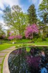 Uno stagno al Beal Botanical Garden delal Michigan State University a East Lansing, Michigan. Fondato nel 1873, questo giardino ospita migliaia di piante.

