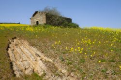 Una vecchia fattoria abbandonata su una collina ...