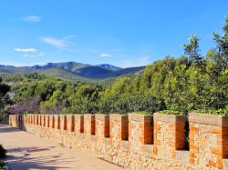 Vegetazione di Castelldefels dal castello, Spagna - Letteralmente proiettato verso il cielo, questo maniero gode di un panorama mozzafiato sul litorale che si estende dal Massiccio del Garraf ...