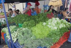 Venditori di verdura al mercato contadino di San José, Costa Rica. Nei mercati tradizionali della città si possono acquistare prodotti freschi e genuini dell'agricoltura locale ...